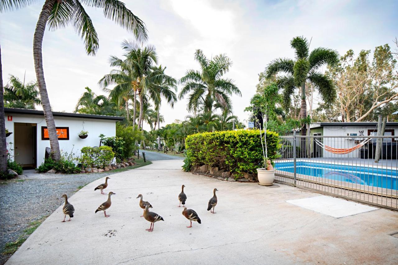 Bush Village Holiday Cabins Airlie Beach Exterior foto